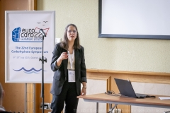 Foto_0111_D508675
