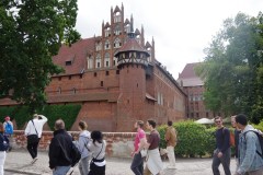 IMGP6618