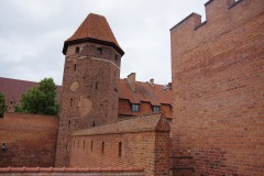 IMGP6645